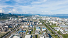 首破千亿元！大亚湾区2024年P同比增加70%